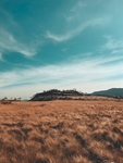 风景