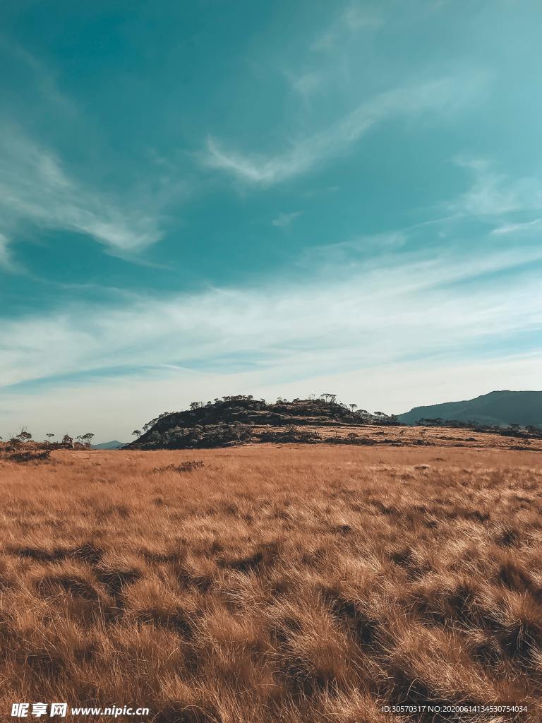 风景
