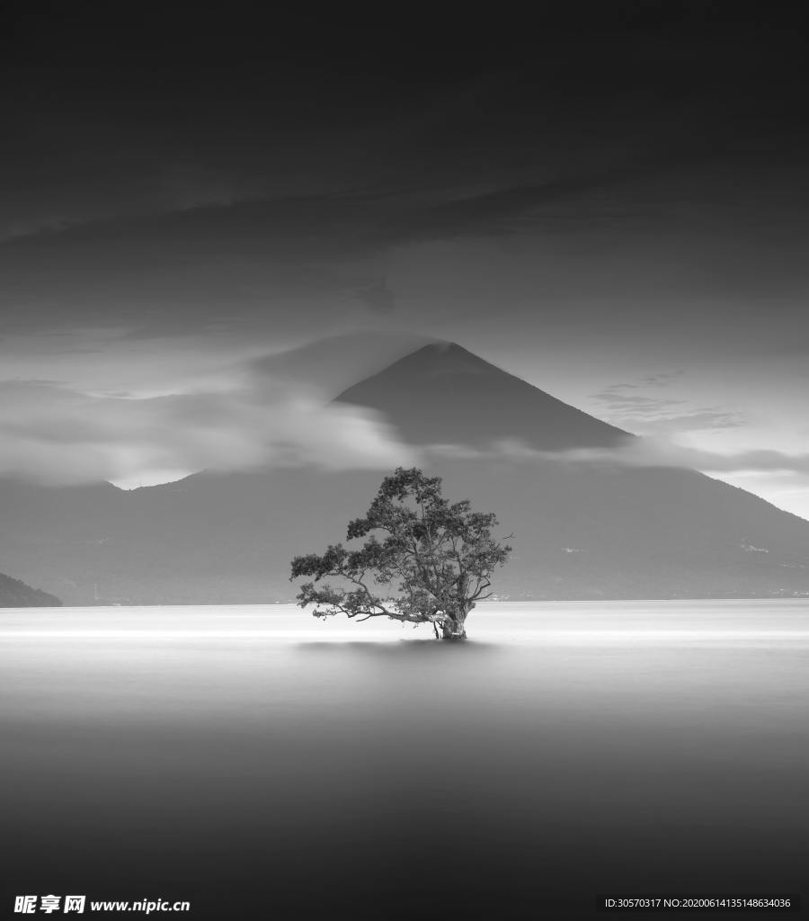 风景