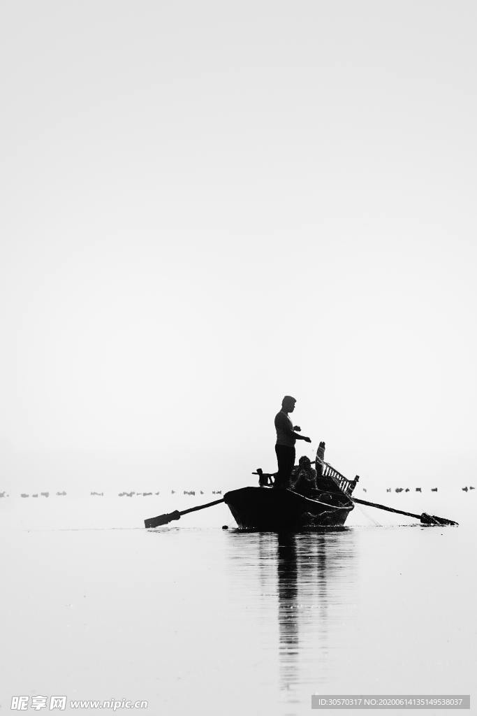 海