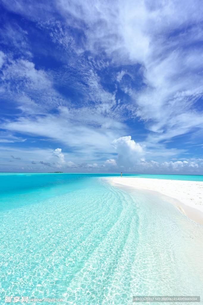 海