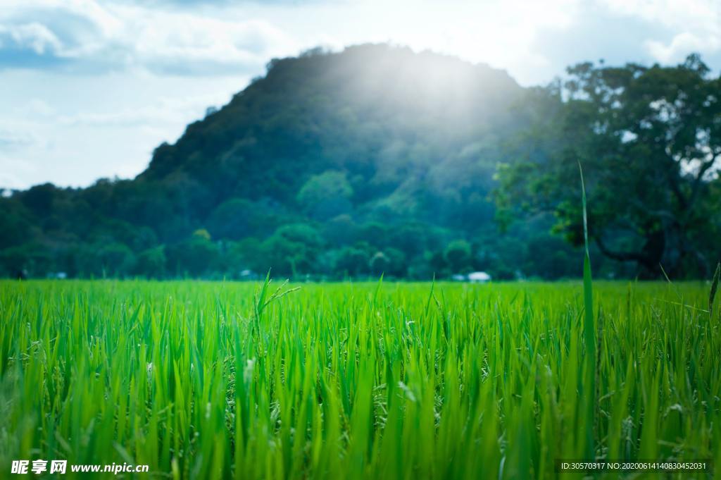 风景