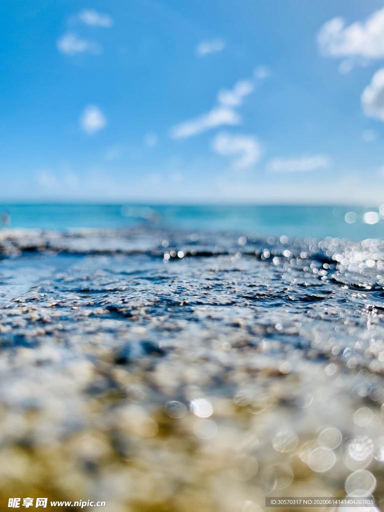 海洋