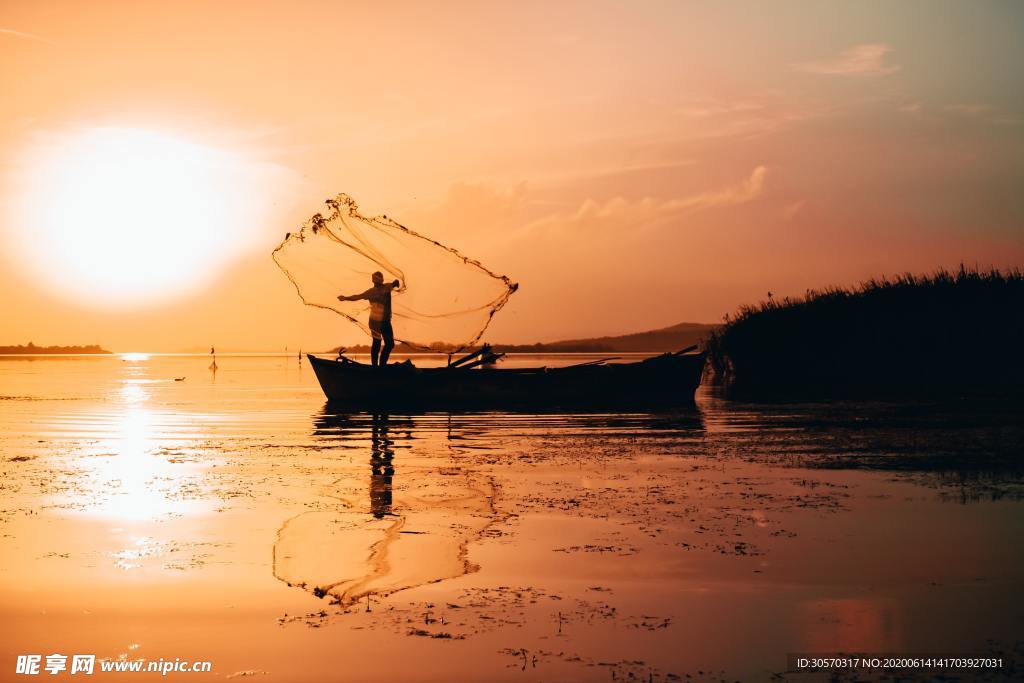 海