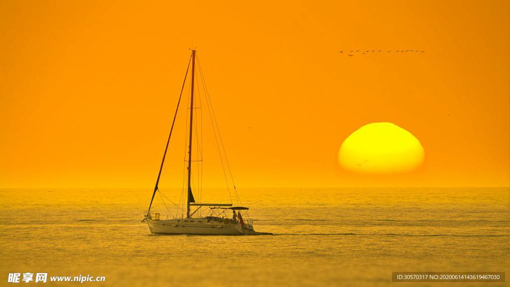 海洋