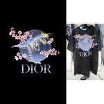 迪奥 dior 大牌 奢侈品