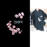 迪奥 dior 大牌 奢侈品