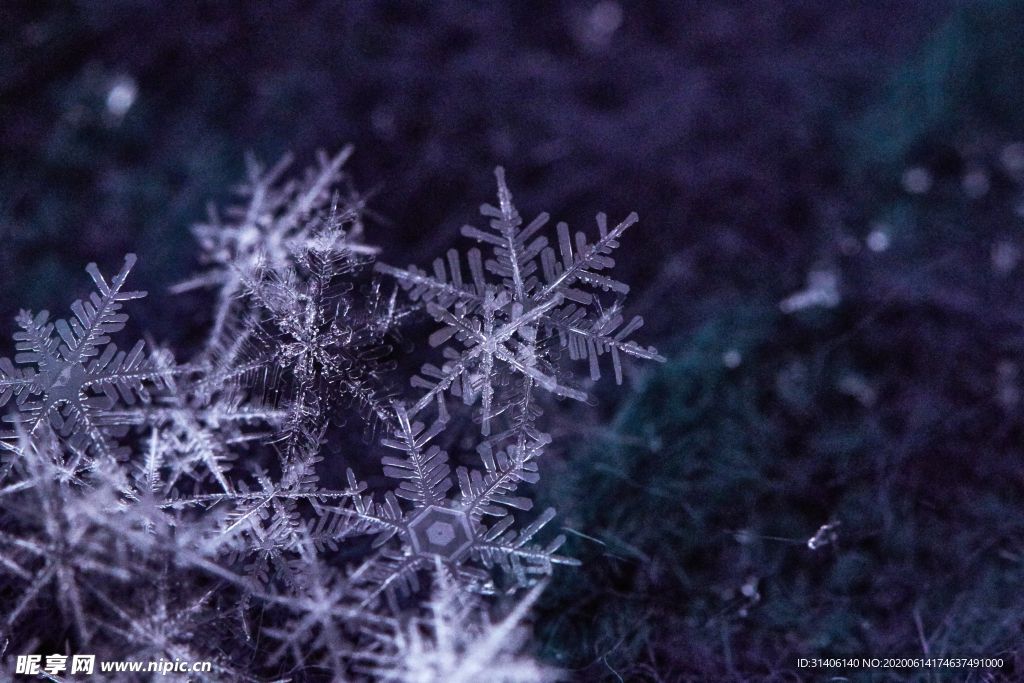 雪花图片