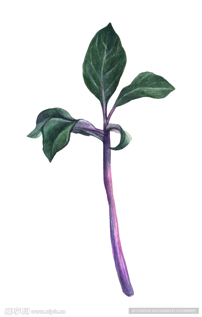 花