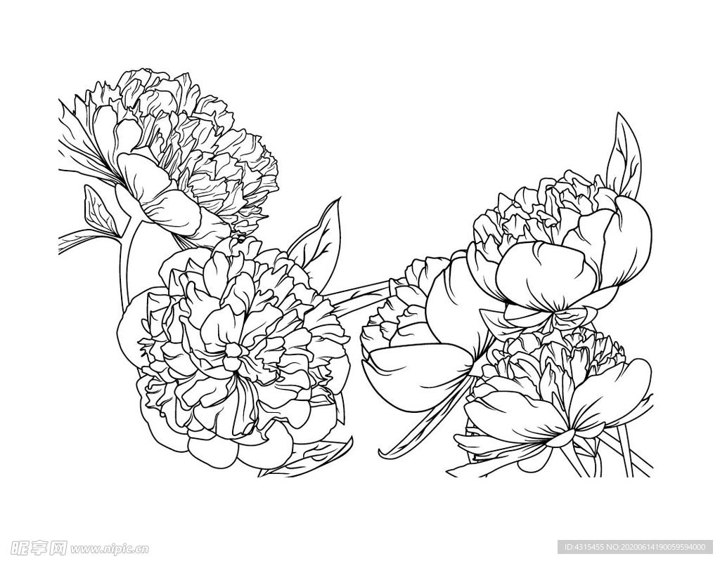 线条花