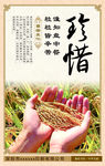 珍惜