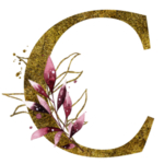 手绘水彩花卉英文字母logo