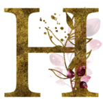 手绘水彩花卉英文字母logo