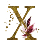 手绘水彩花卉英文字母logo