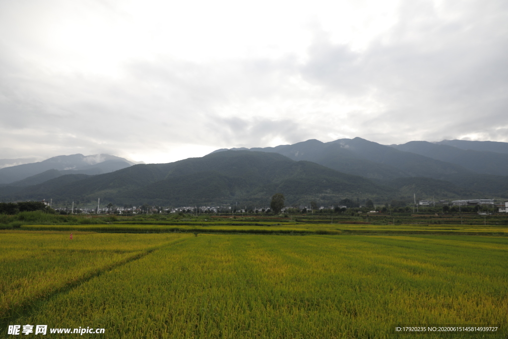 远方的田野