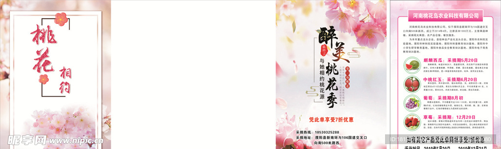 桃花节