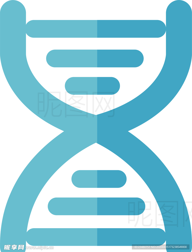 基因DNA