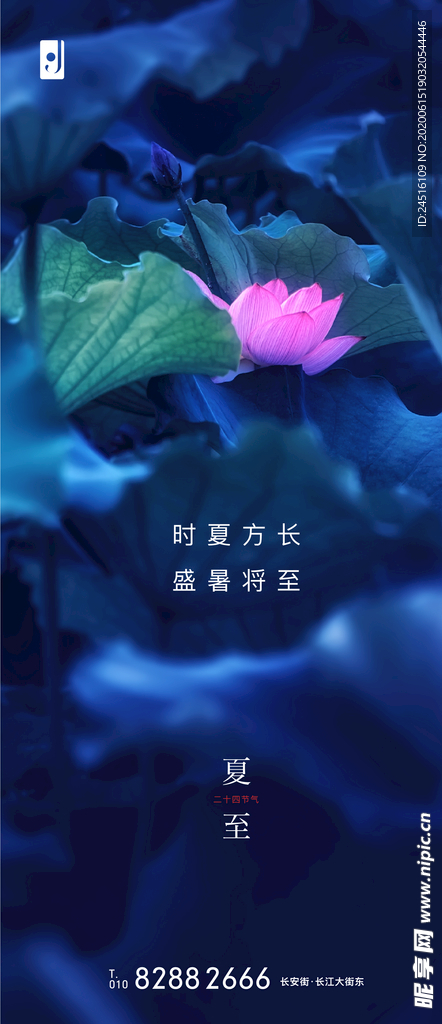 夏至