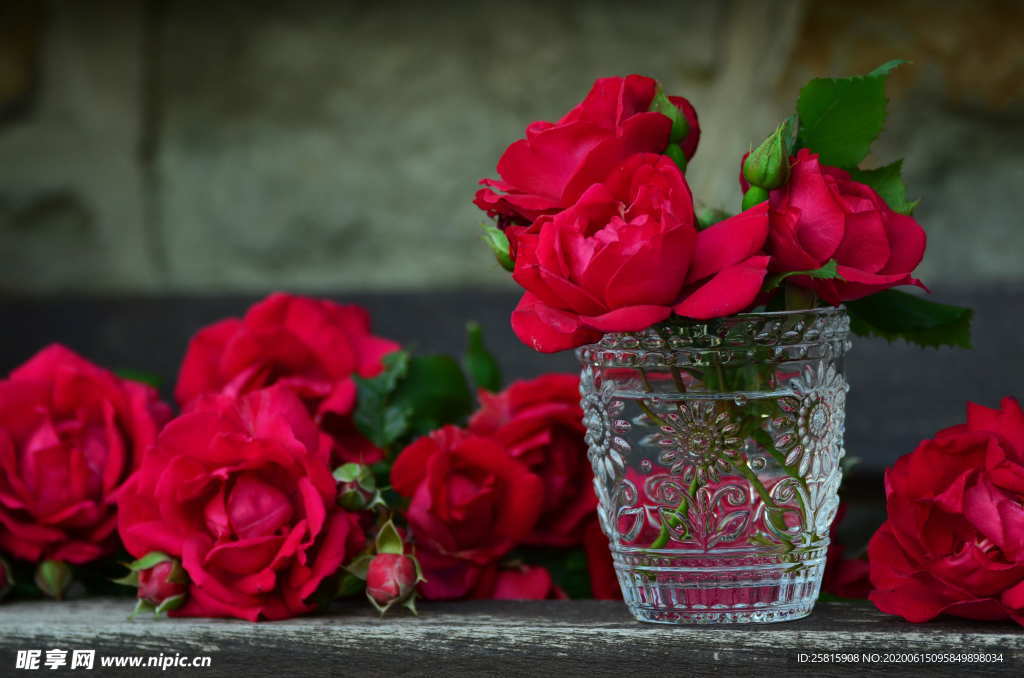 玫瑰花捧花插花浪漫图片