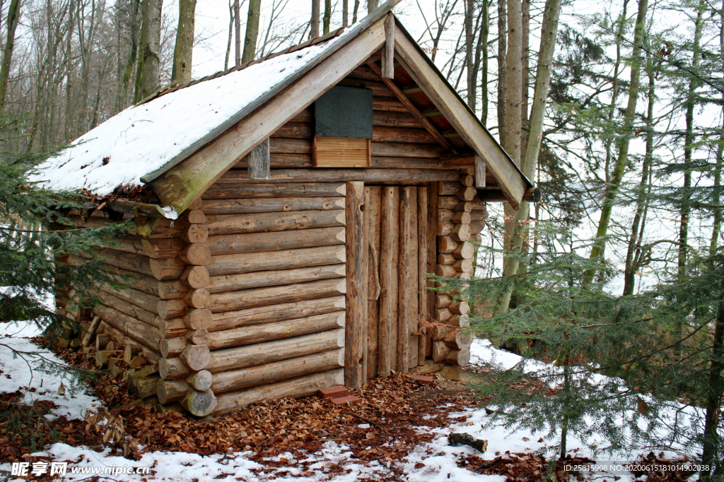 雪中木屋林间小屋图片