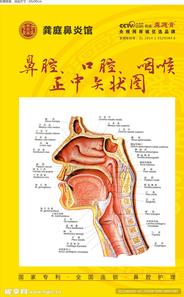 龚庭 鼻炎馆 黄色 海报