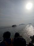 海鸥