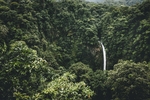 风景