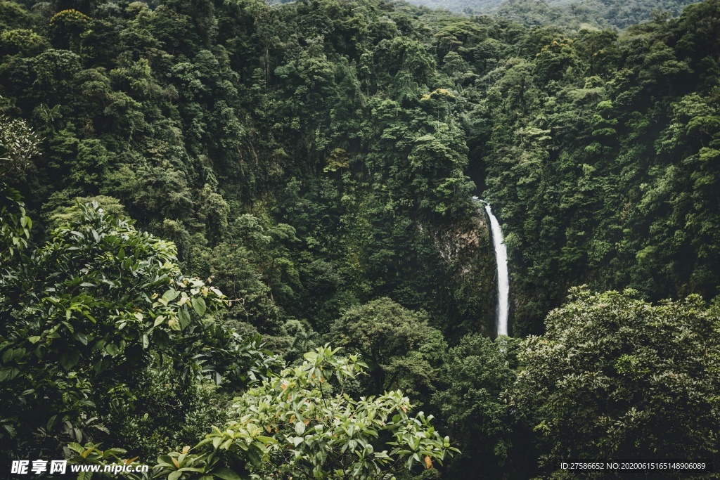 风景
