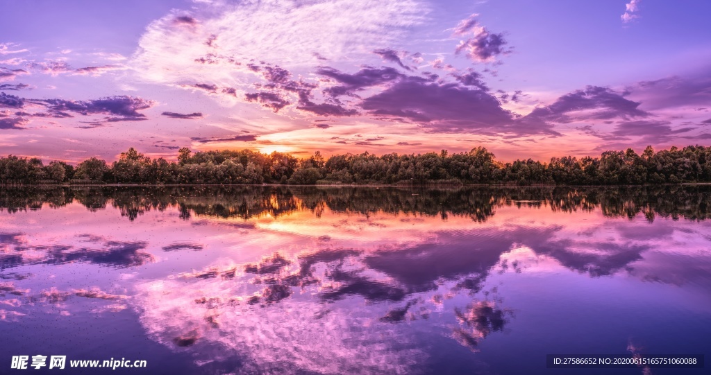 风景