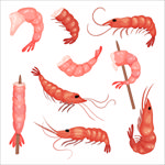 手绘虾肉