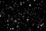 雪花