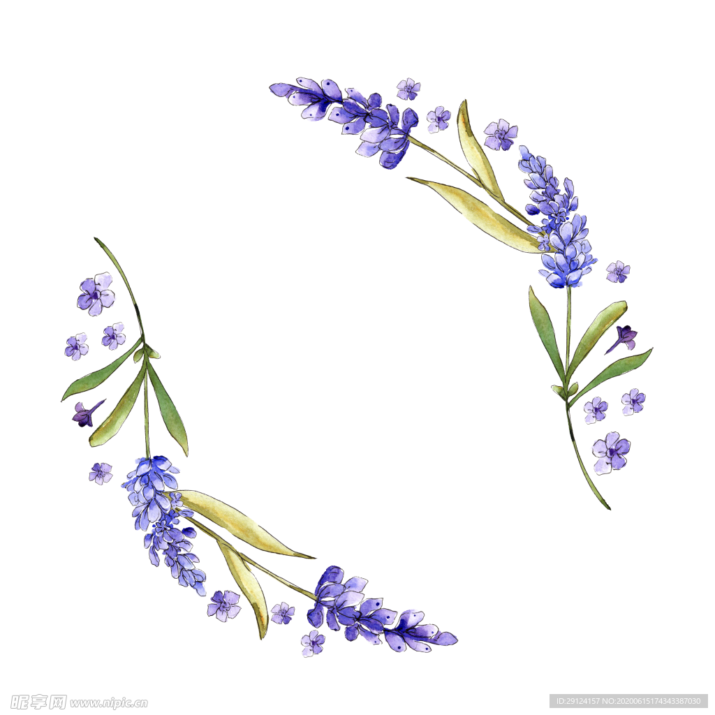 薰衣草边框