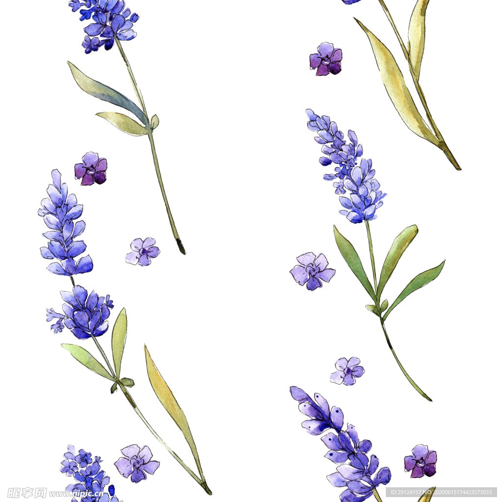 薰衣草边框