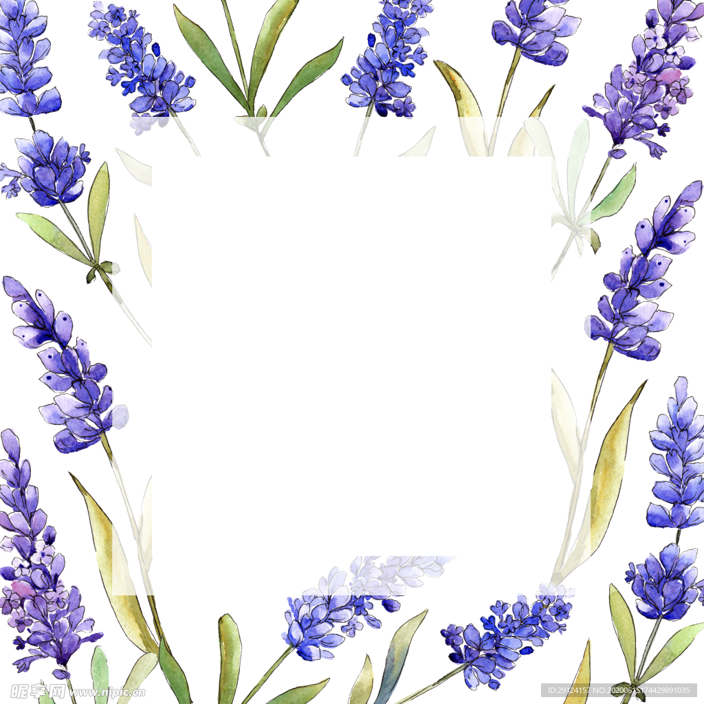 薰衣草边框