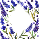 薰衣草边框