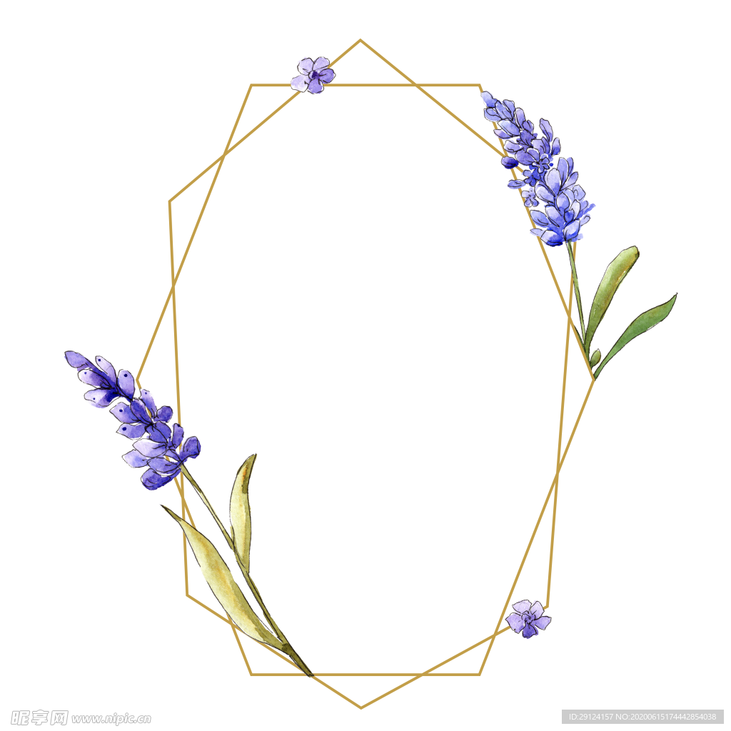薰衣草边框