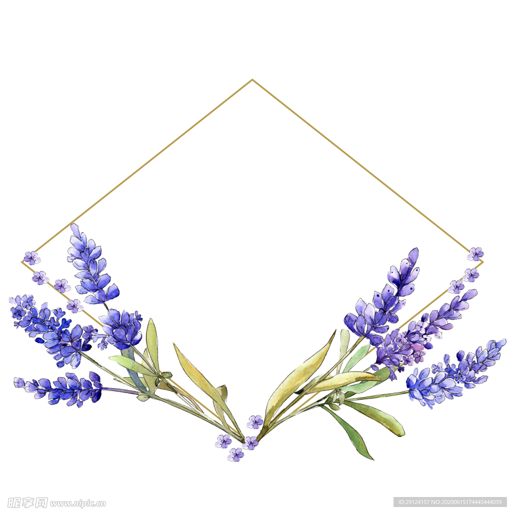 薰衣草边框
