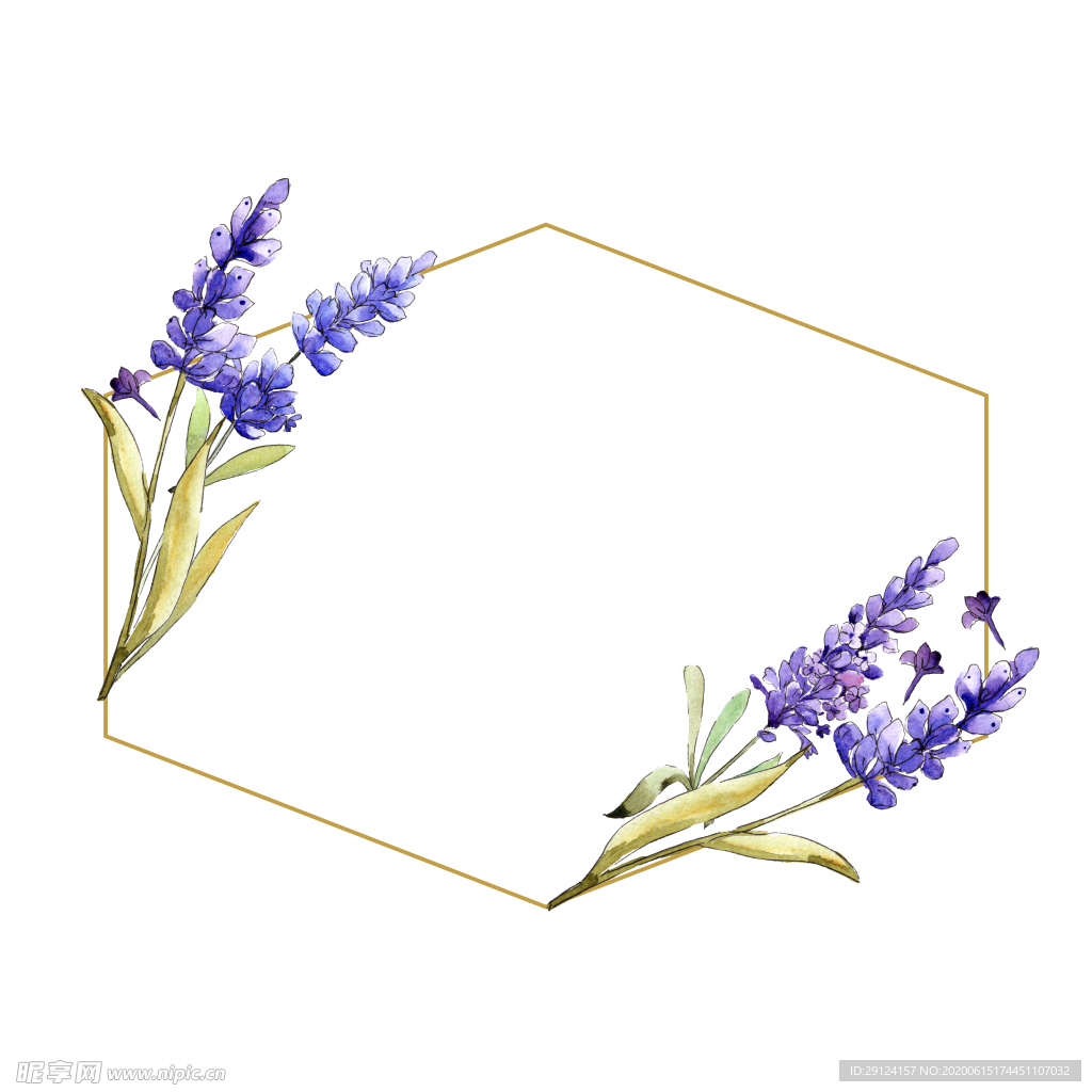 薰衣草边框