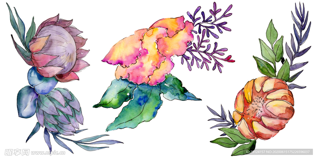 水彩花卉