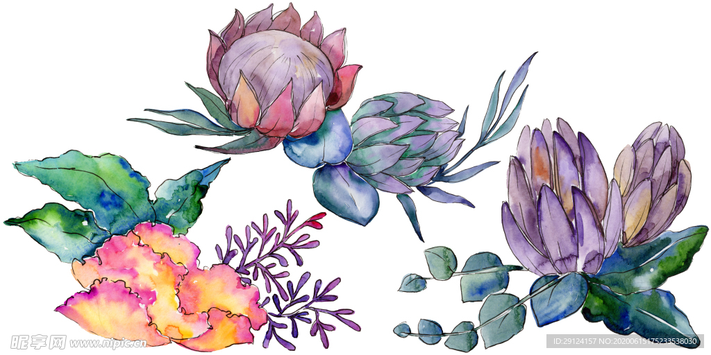 水彩花卉