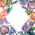 花卉边框