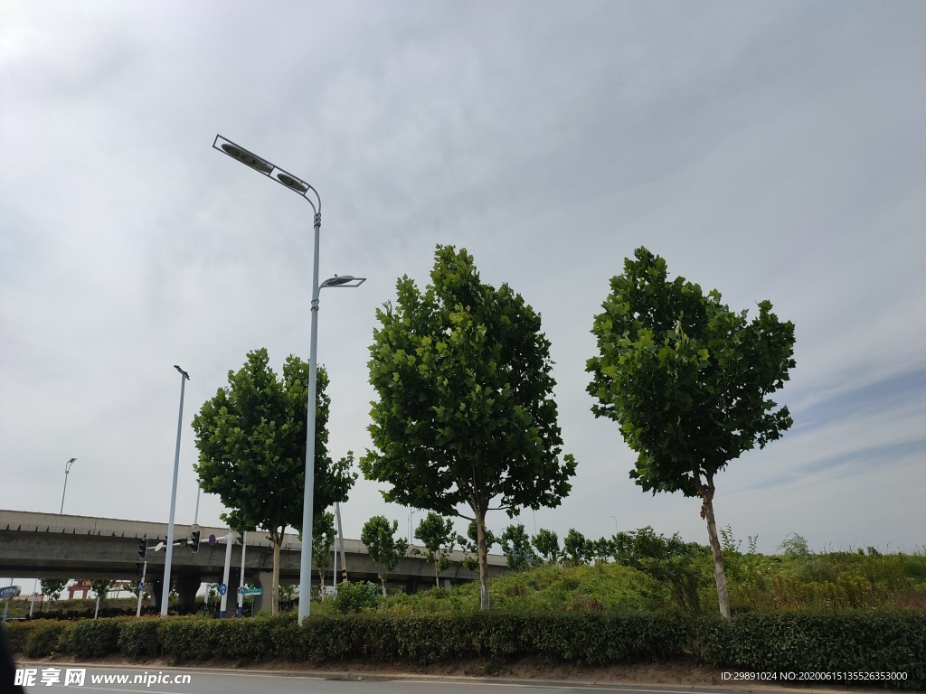 城市