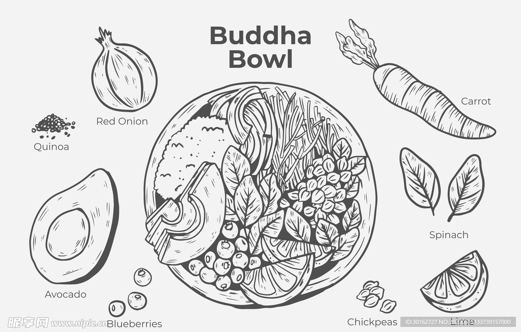 手绘食物食材插画设计
