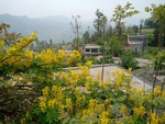 山村一角