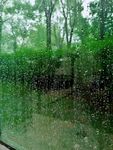 雨季