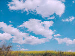 晴空万里
