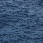大海