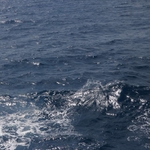 大海