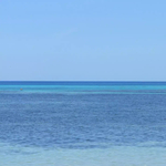 大海