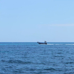 大海
